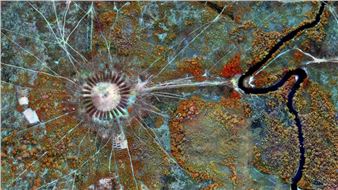 "Enduring Amazon: Life and Afterlife in the Rainforest" Opens @ The Momentary