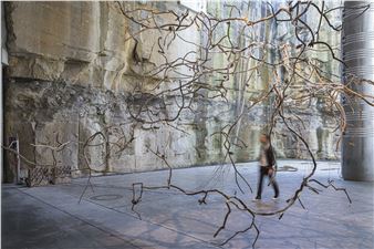 Tania Candiani: Waterbirds: Migratory Sound Flow - Locust Projects