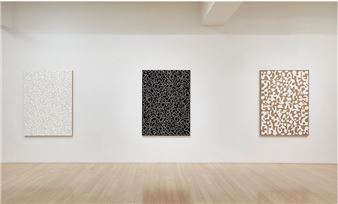 Valerie Jaudon: Parameters