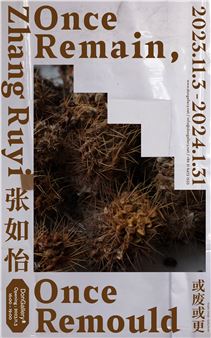 Zhang Ruyi: Once Remain, Once Remould - Don Gallery