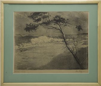 Sosna nad Bałtykiem - Stanislaw Szwarc Bronikowski