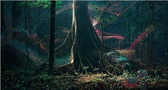 Emergence Magazine’s Immersive Show Shifting Landscapes Invites You into Communion With the Living World