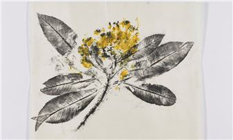 Women’s Work Is Never Done review – decay, dildos and the disappeared enliven a great unravelling