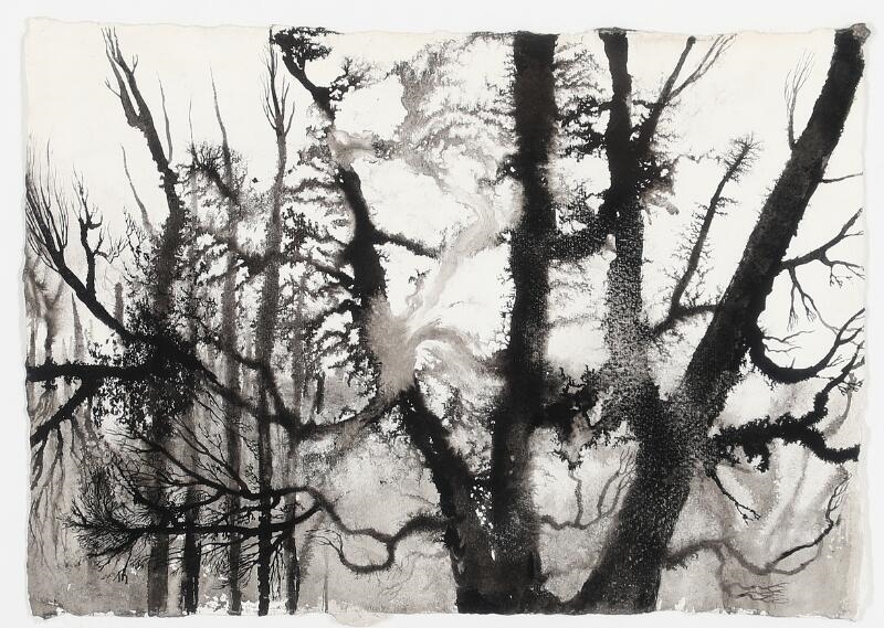 Forest II by Elina Merenmies, 2005