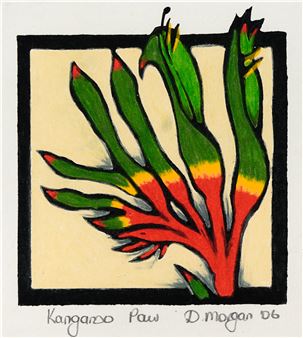 Kangaroo Paw - Debbie Morgan