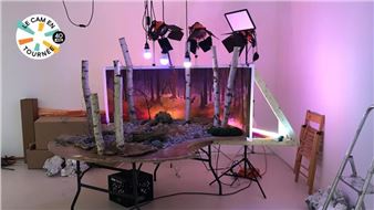 Maxime Bruneau & Zipertatou: Engendrer | Grosse Terre Boule - Galerie B-312