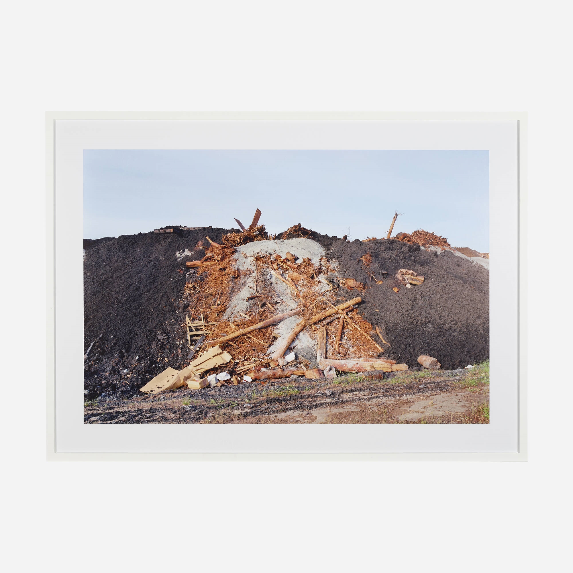 Roy Arden Pulp Mill Dump 1, Nanaimo, B.C. MutualArt