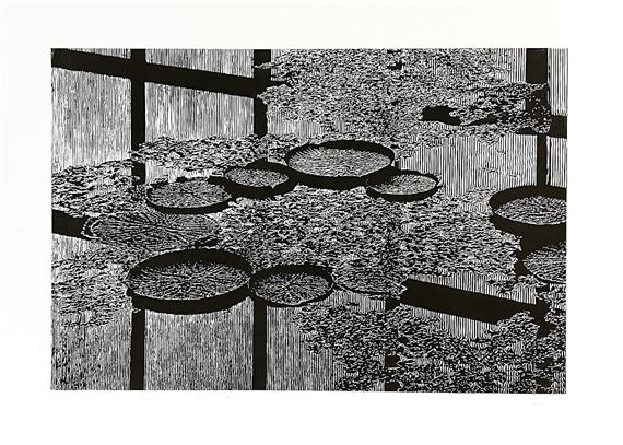 Layer - Peter Kollár