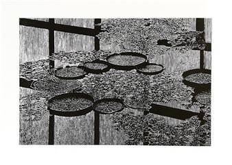 Layer - Peter Kollár