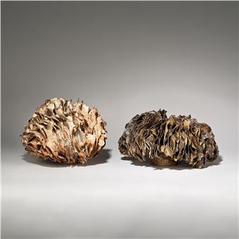 Two organic forms, mid-late 20th Century - Anita Rich