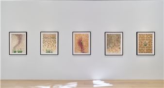 Ambreen Butt: Lay Bare My Arms - Gallery Wendi Norris