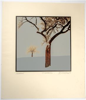 Winterbäume - Baumann