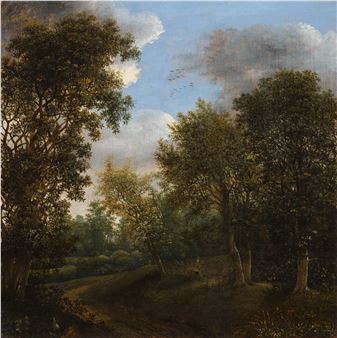 Forest landscape - Johan Lagoor