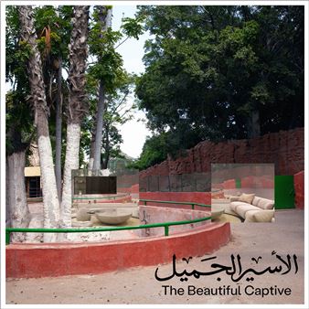 Mahmoud Khaled: The Beautiful Captive - Gypsum Gallery