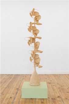 Juliana Cerqueira Leite: Habitual - Prats Nogueras Blanchard, Madrid