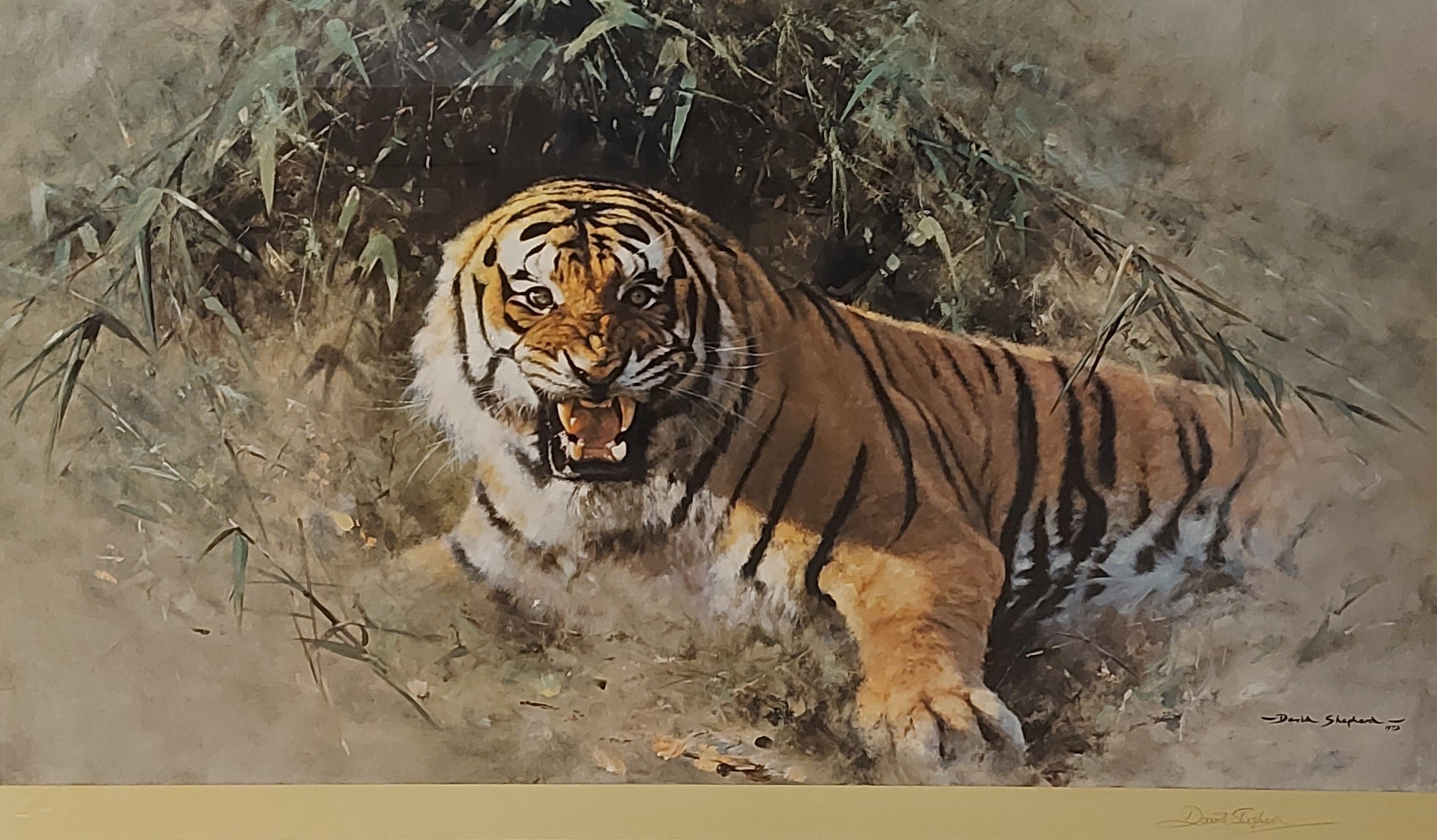David Shepherd | Tiger Fire, limited edition number | MutualArt