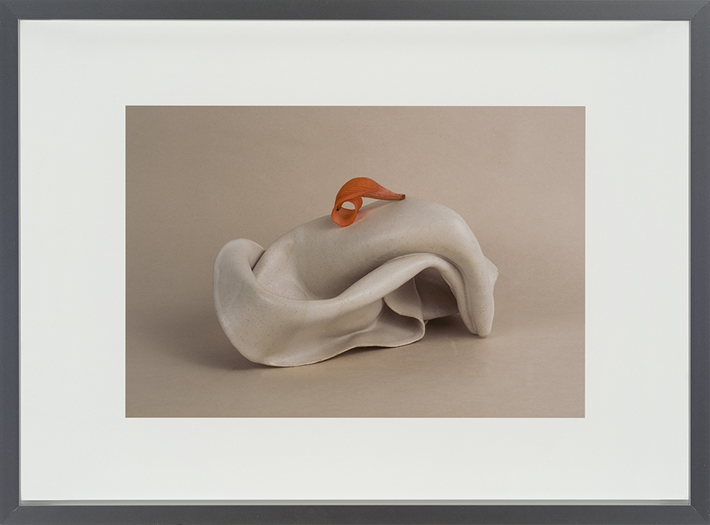 Artwork by Michelle Bui, Porcelain and daylily petal, 2023, Made of Archival pigment print on paper