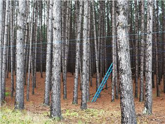 Mise à niveau, 2015 - Philippe Allard