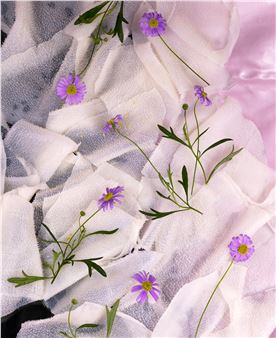 Wet Slab, 2019 - Michelle Bui