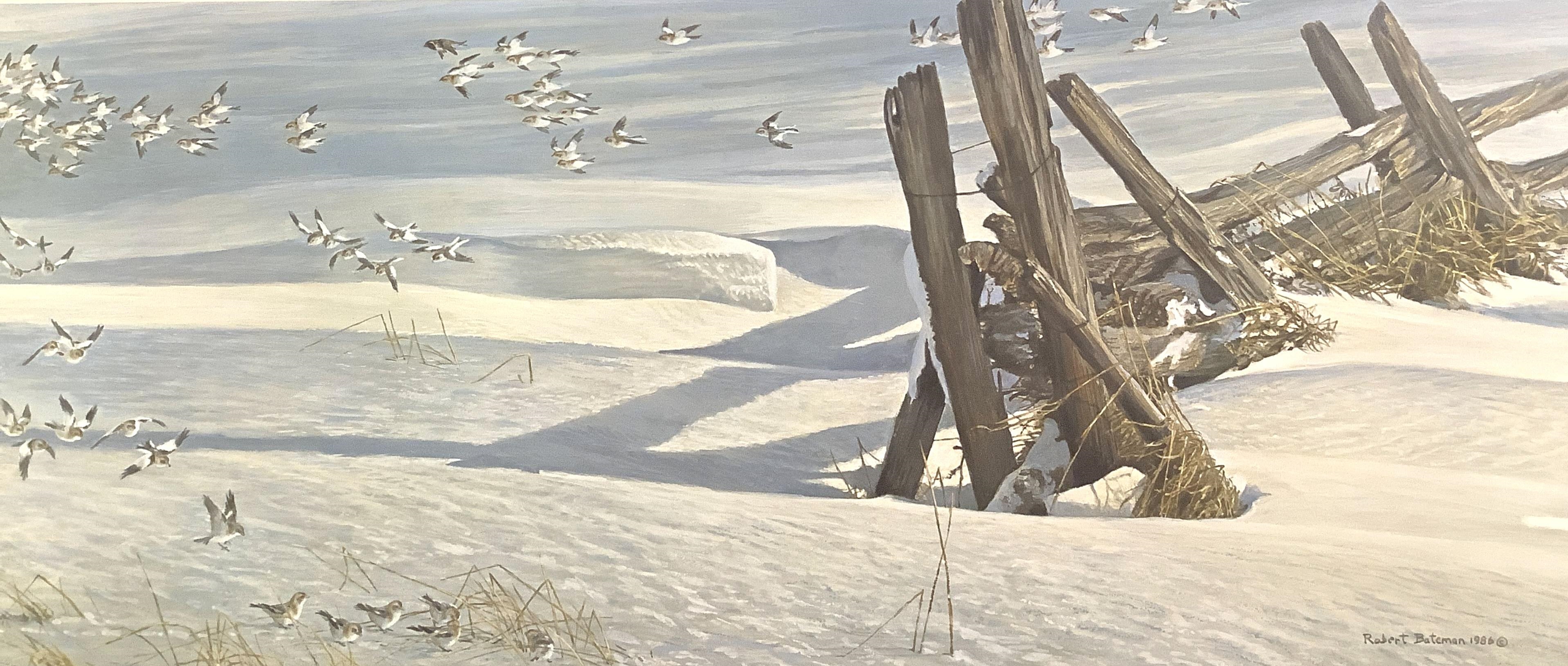 Robert McLellan Bateman | Robert Bateman Limited Edition Lithograph ...