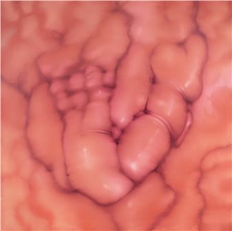 Bez tytułu - Julia Kowalska