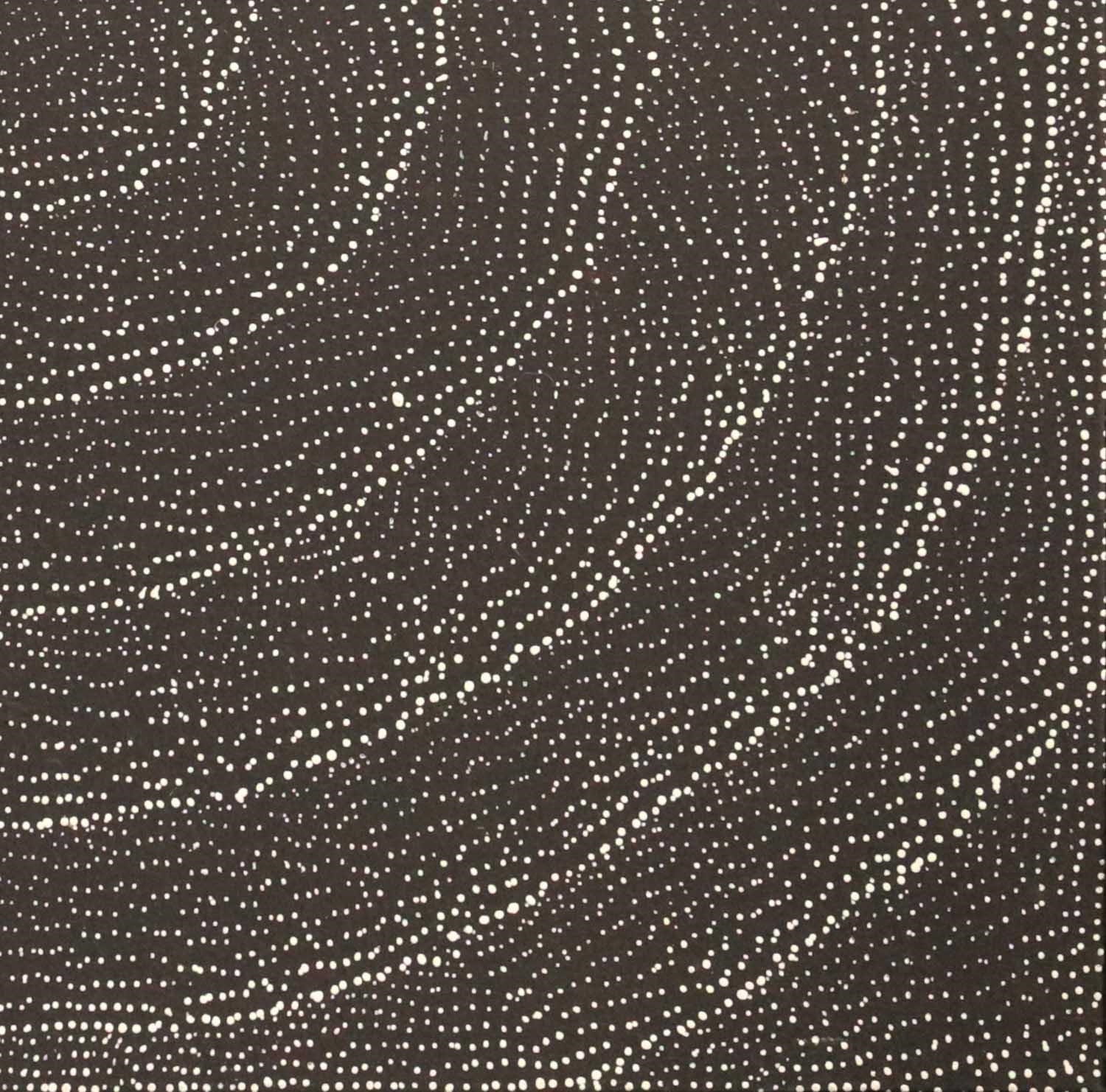 Lily Kelly Napangardi | Rock holes | MutualArt