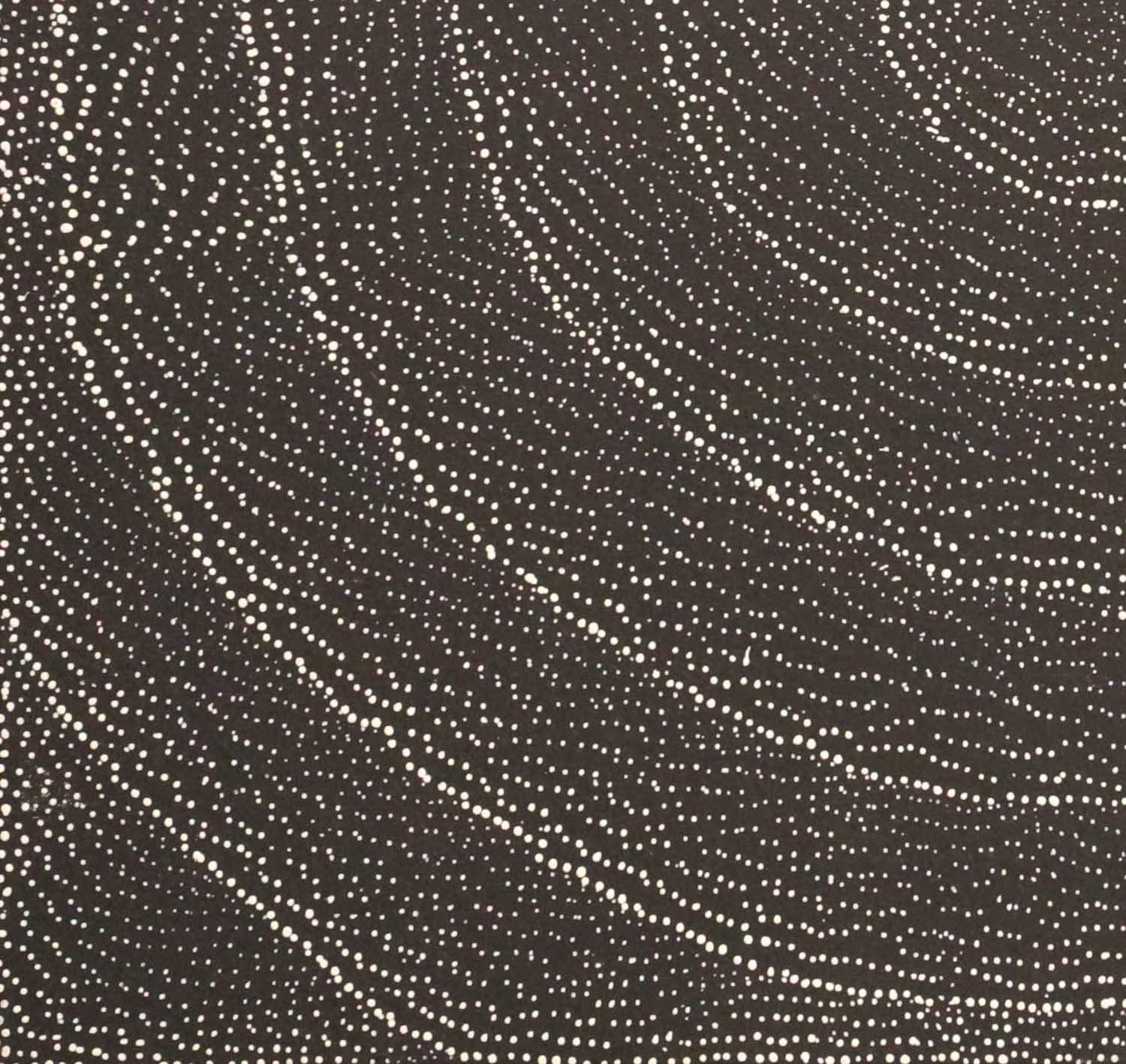 Lily Kelly Napangardi | Rock holes | MutualArt
