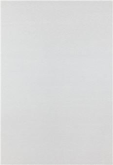 Detail 4253356 - 4273404 - Roman Opalka