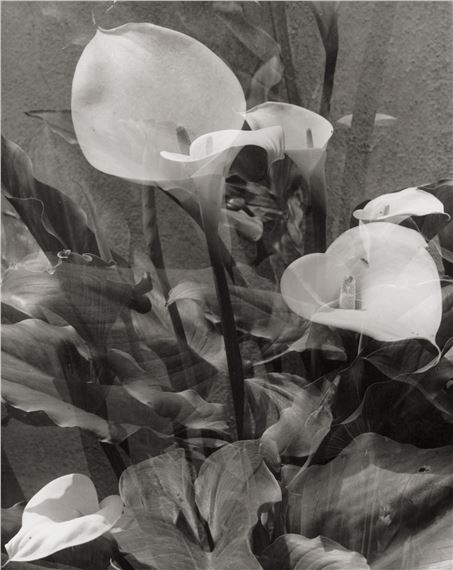 Double Callas by Lou Landauer, 1949