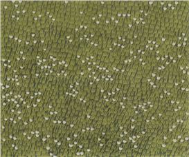 A Portfolio: Johnny Izatt-Lowry