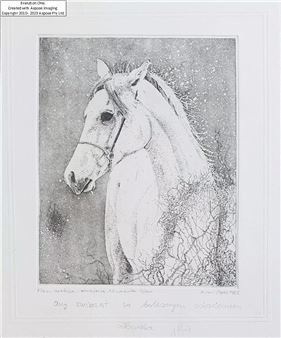 Oczy zwierząt są bolesnym oskarżeniem człowieka - Artur Popek