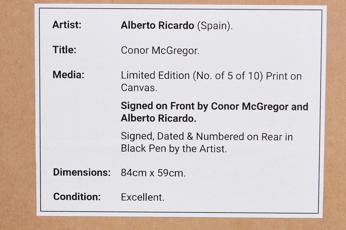 Artwork by Alberto Ricardo, Conor McGregor, Made of print on canvas