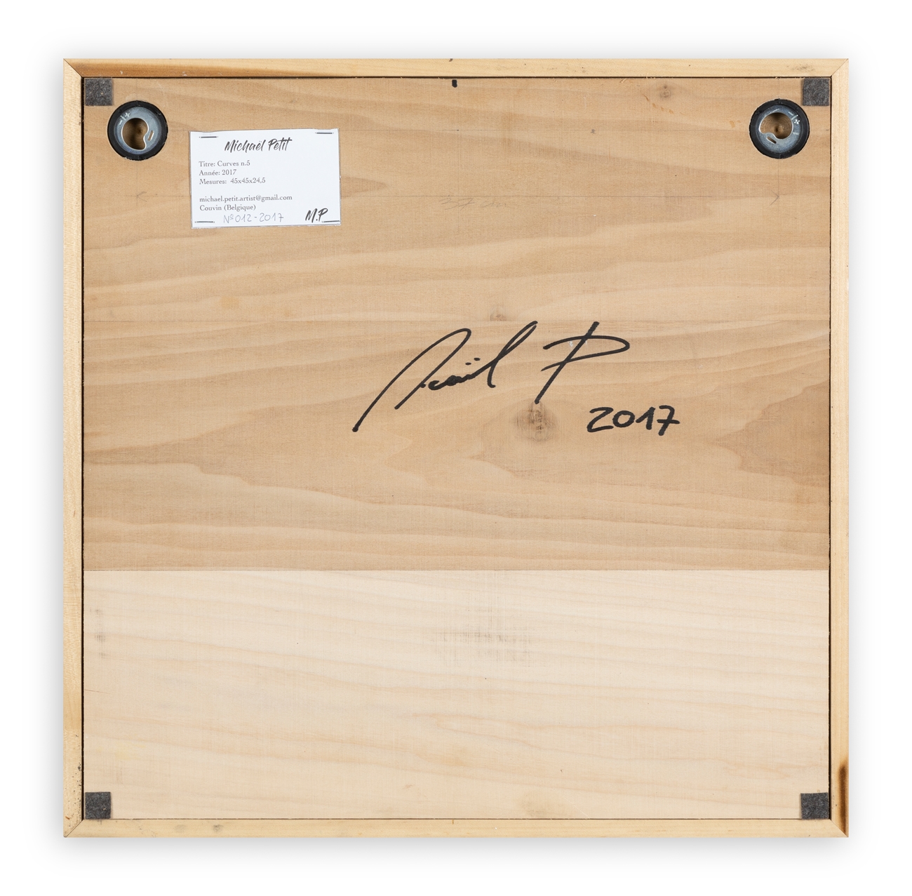 Artwork by Michael Petit, Curves N.5, Made of Wood, mirror, wire and LED