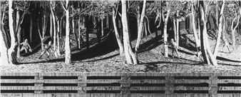 Untitled - Matt Coyle