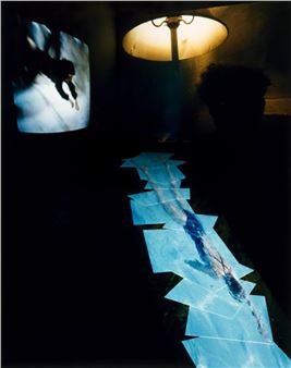 False Starts - Lorie Novak