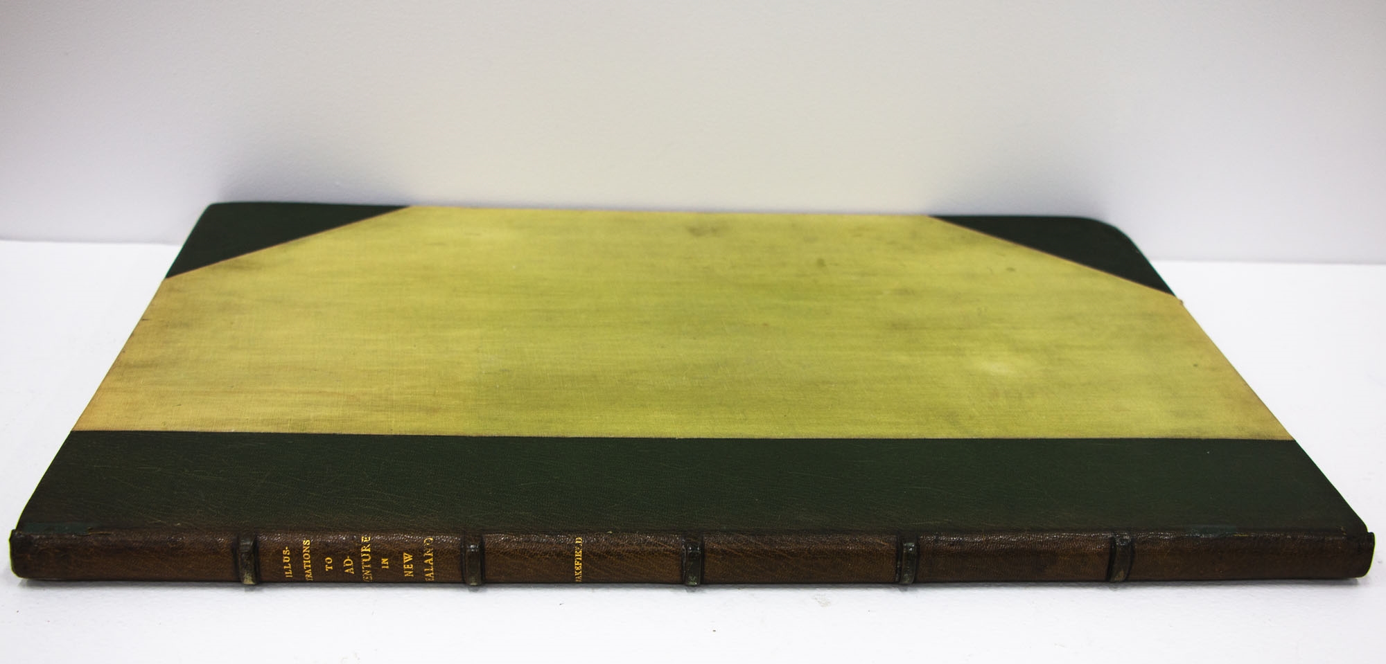 Artwork by Charles Heaphy, Illustrations to Adventure in New Zealand, Made of coloured lithographs