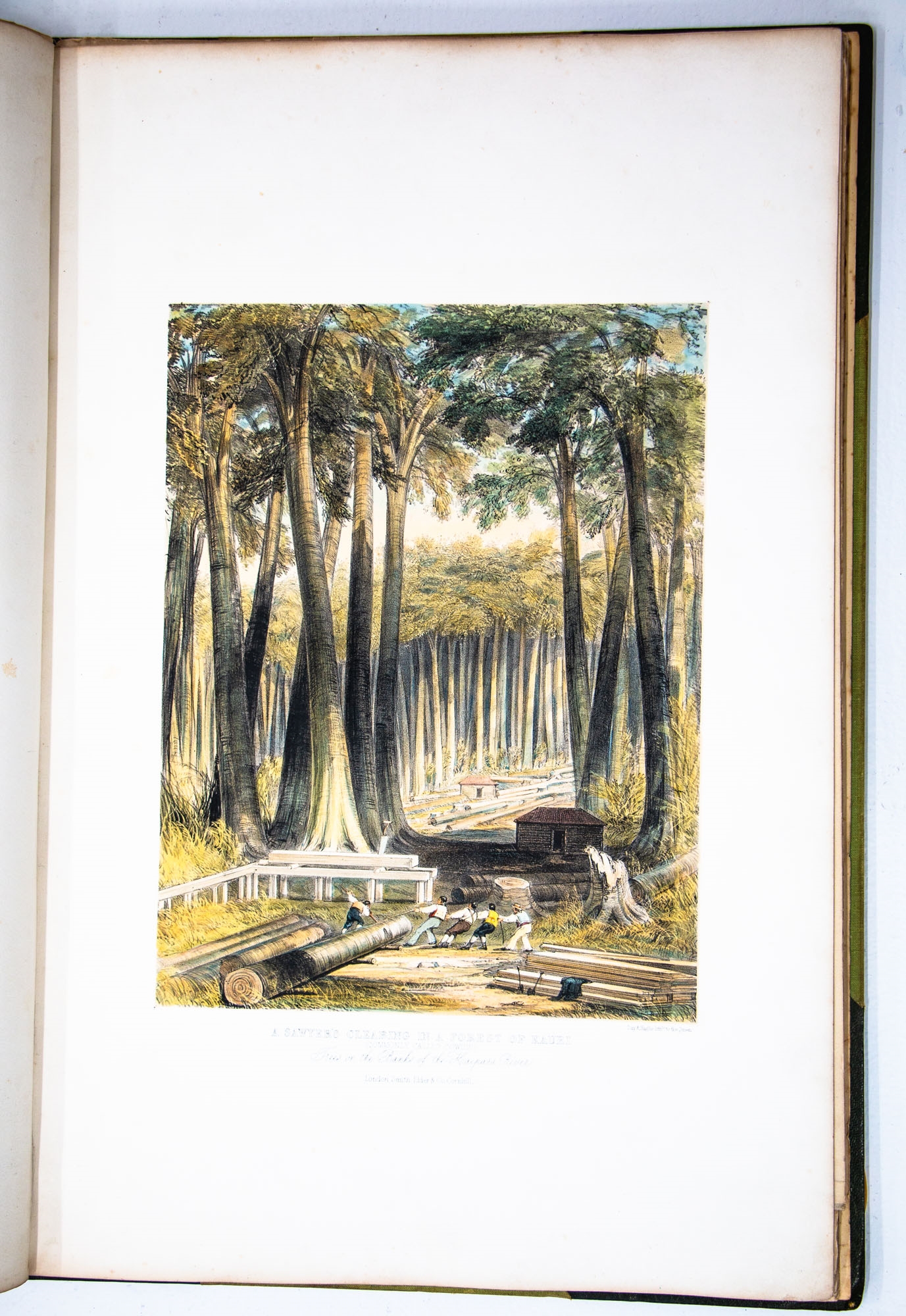 Artwork by Charles Heaphy, Illustrations to Adventure in New Zealand, Made of coloured lithographs