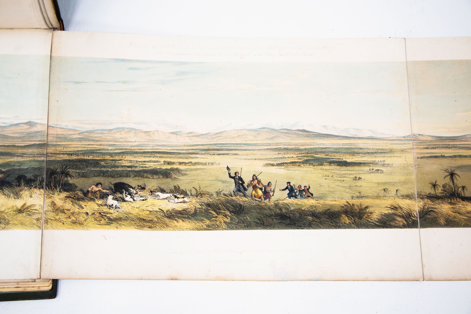 Artwork by Charles Heaphy, Illustrations to Adventure in New Zealand, Made of coloured lithographs