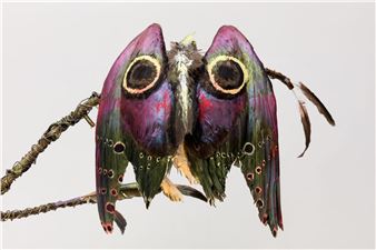 Tyler Eash: All the World's Horses - Nicoletti Contemporary