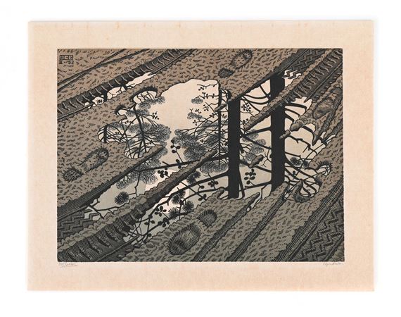 'Puddle' by Maurits Cornelis Escher