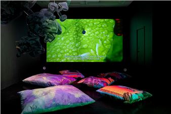 Josèfa Ntjam: Limestone Memories: Un maquis sous les étoiles - Nicoletti Contemporary