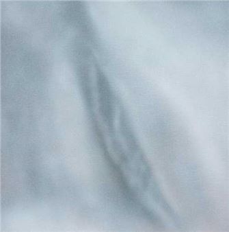 Pussy Painting #29 - Betty Tompkins