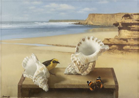 Marine Encounter by Patrick Hennessy