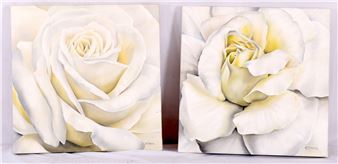 WHITE ROSES - Stadler