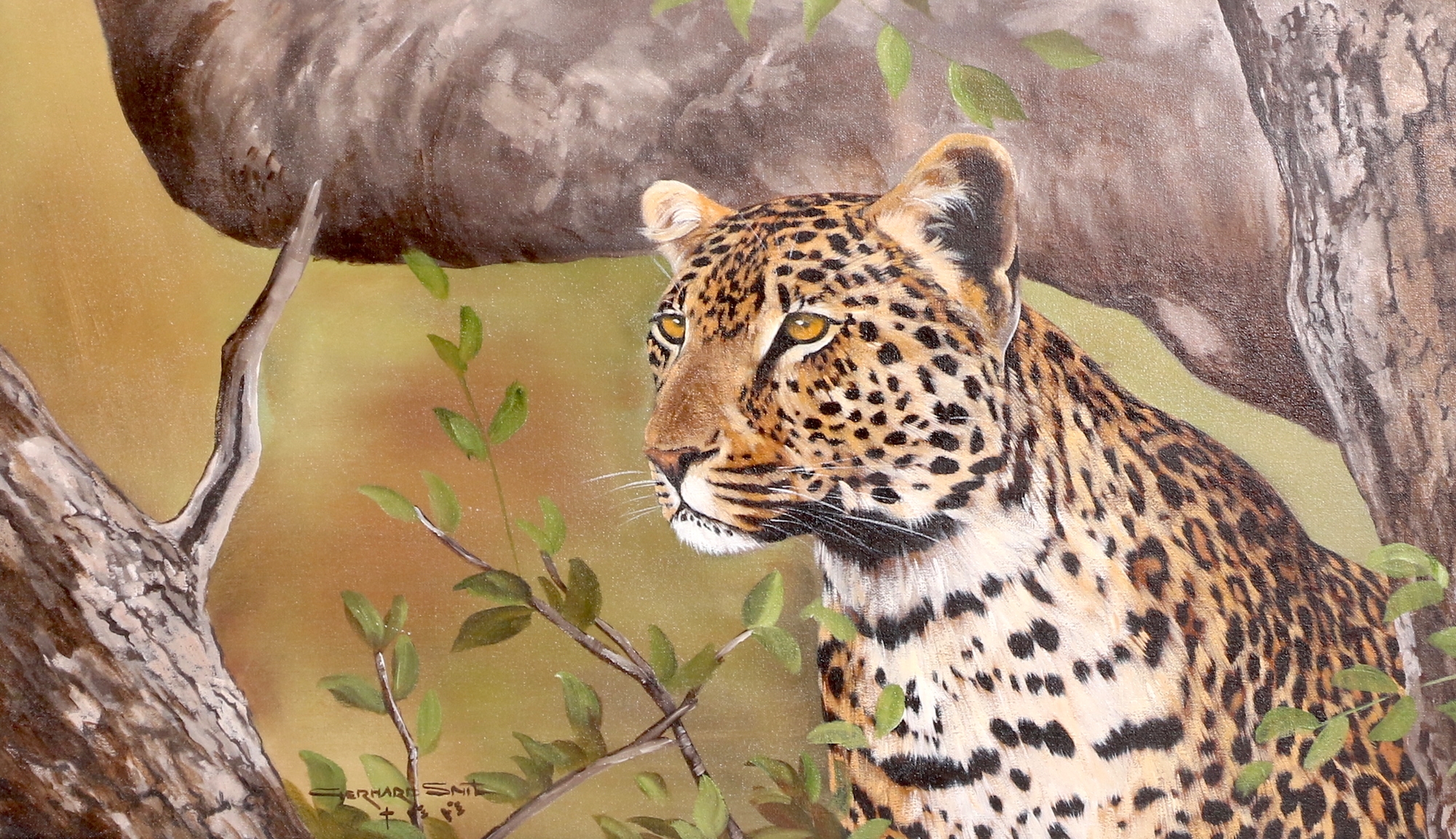 Artwork by Gerhard Smit, LEOPARD IN A TREE, Made of oil on canvas on board