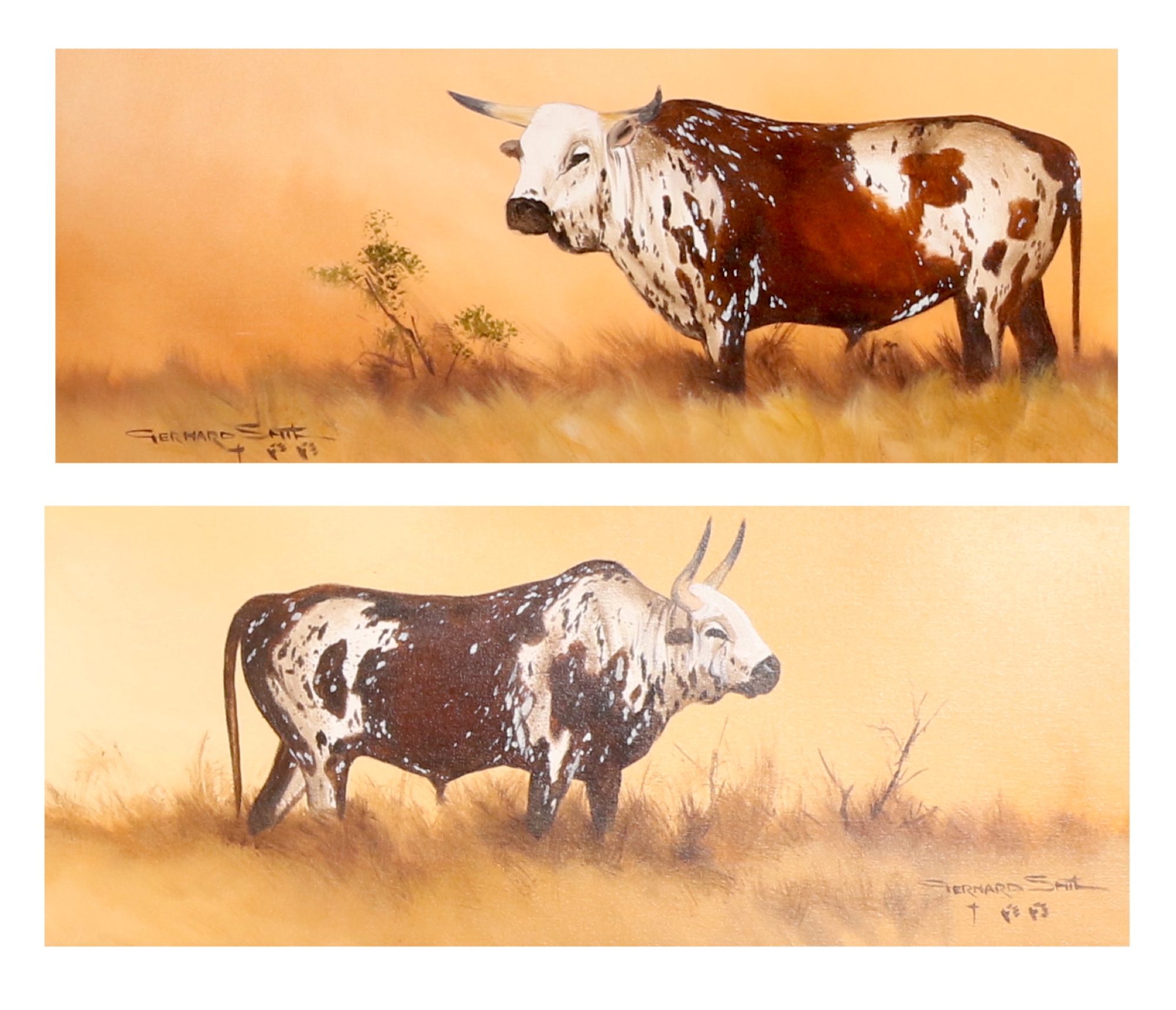 Artwork by Gerhard Smit, NGUNI BULL, Made of oil on canvas on board