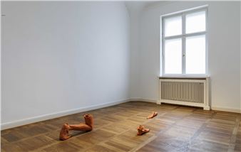 “Bruno Pélassy and the Order of the Starfish” at Haus Am Waldsee, Berlin