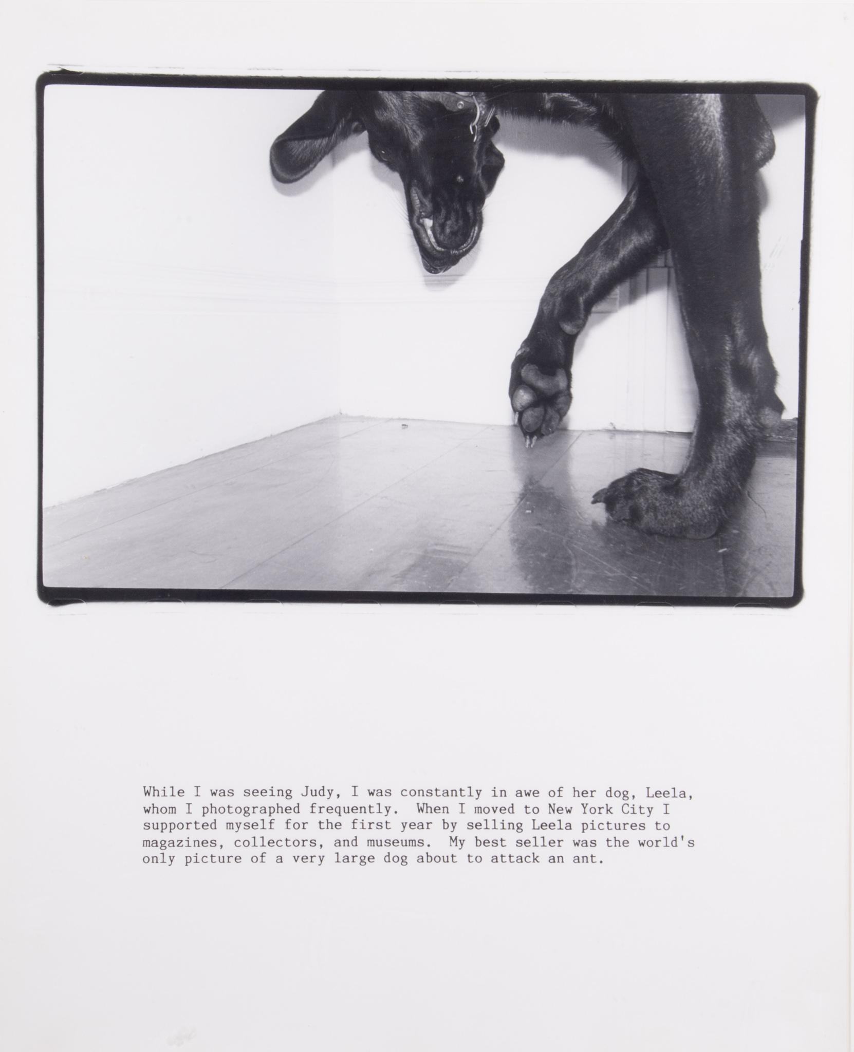 Artwork by Tony Mendoza, Leela about to attack an Ant, Made of black and white photograph