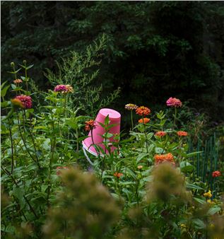 Planting Roots: Growing Community - Griffin Museum of Photography