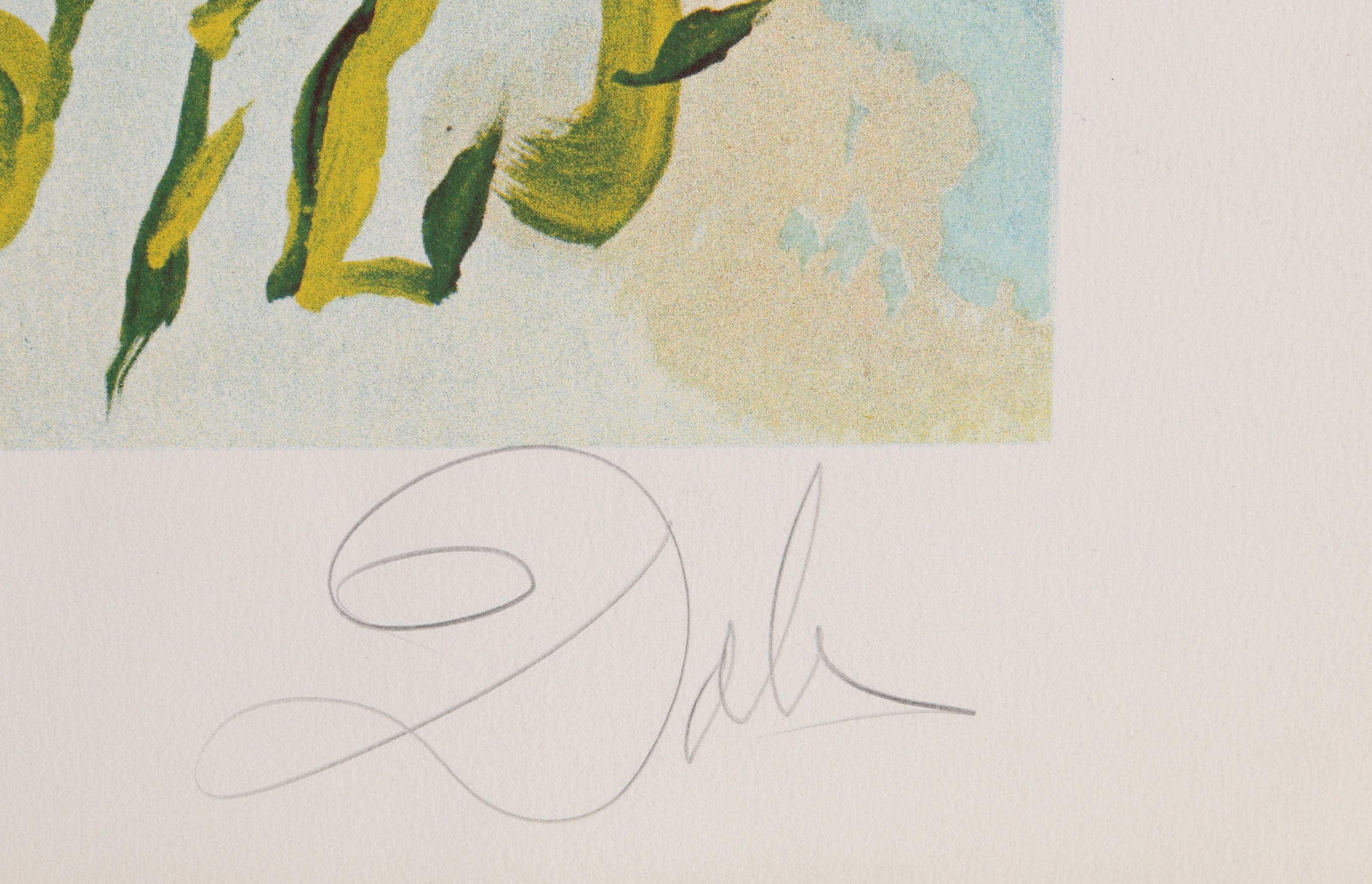 Salvador Dalí | The Official Catalog of the Graphic works of Salvador ...